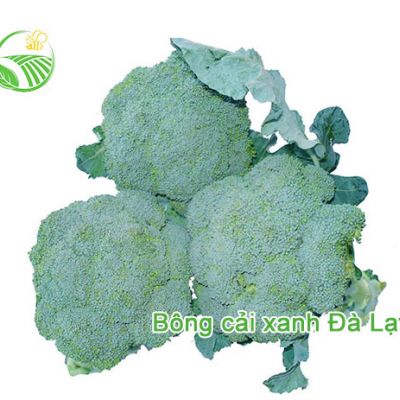 Bông Cải Xanh