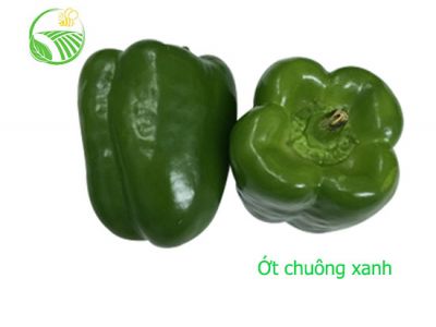 Ớt Chuông Xanh