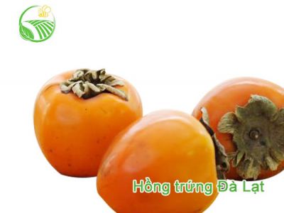 Hồng Trứng