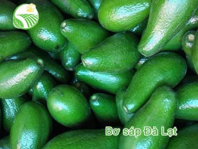 Bơ Sáp