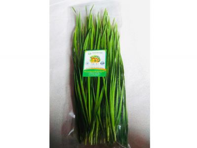 Chives Leaves