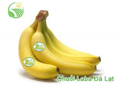 Chuối Laba