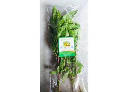 Basil