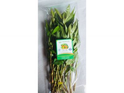 Laksa leaves