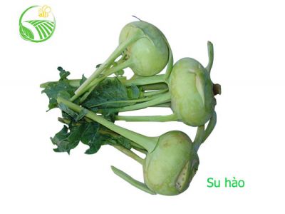 Su Hào