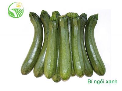 Bí Ngồi Xanh