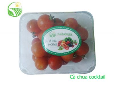 Cocktail Tomato