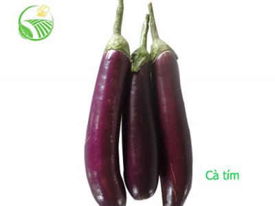 Cà Tím