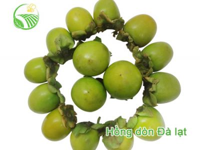 Hồng Dòn