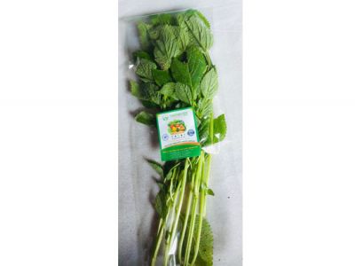 Oregano