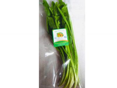 Coriander