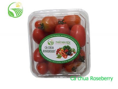 Cà Chua Roseberry