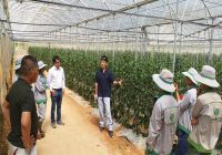 Welcoming Japanese Experts - Sds Biotech K.K Company Consults On Epidemics And Pests