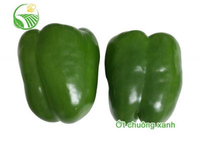 Ớt Chuông Xanh