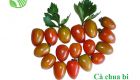 Baby Tomato