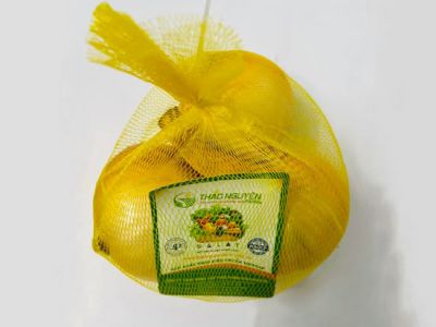 Onion