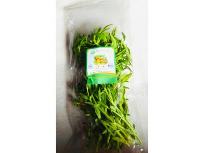 Limnophila aromatica