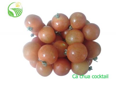 Cà Chua Cocktail