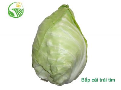 Bắp Cải Trái Tim