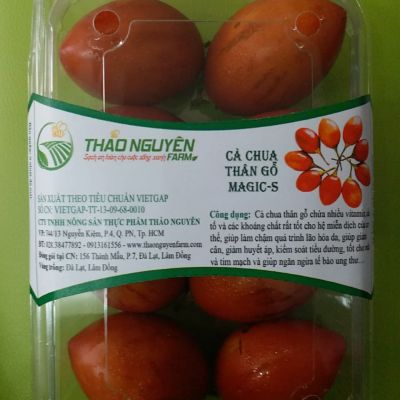 Cà Chua Thân Gỗ