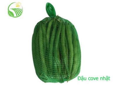 Đậu Cove Nhật