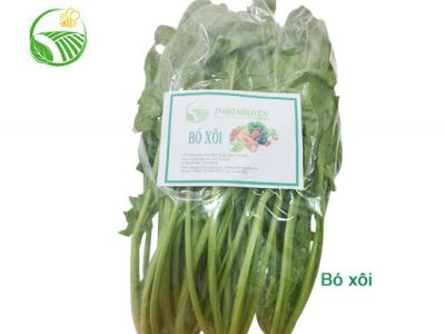 Cải Bó Xôi
