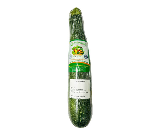 Bí Ngồi Xanh