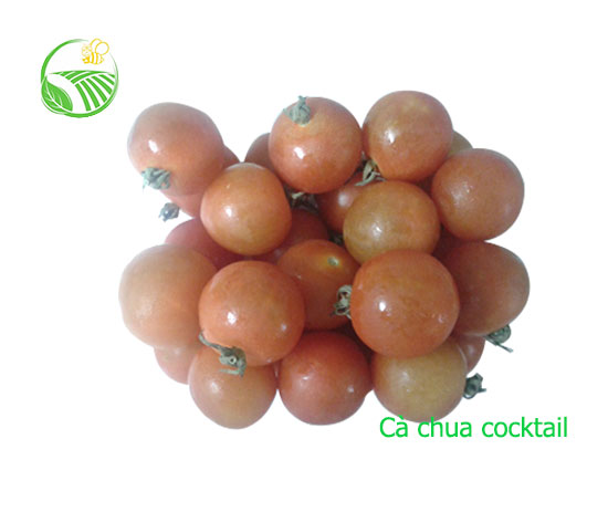 Cà Chua Cocktail