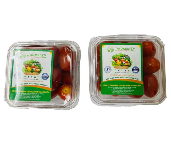 Cà Chua Roseberry