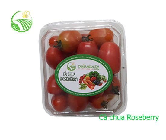 Cà Chua Roseberry