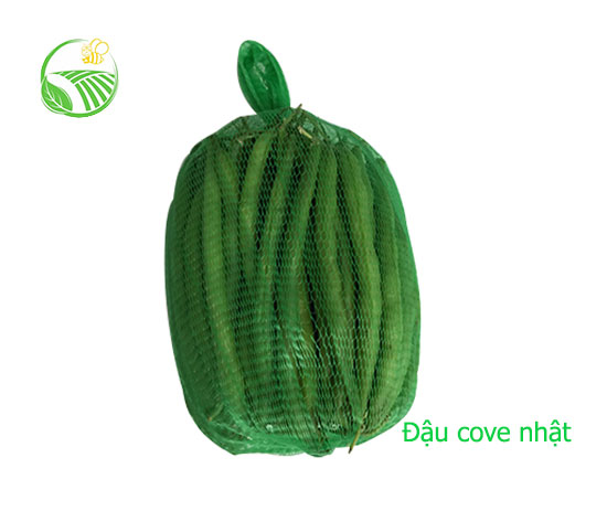 Đậu Cove Nhật