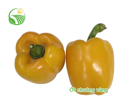 Ớt Chuông Vàng