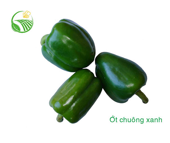 Ớt Chuông Xanh