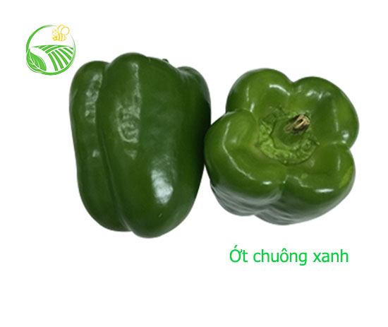Ớt Chuông Xanh