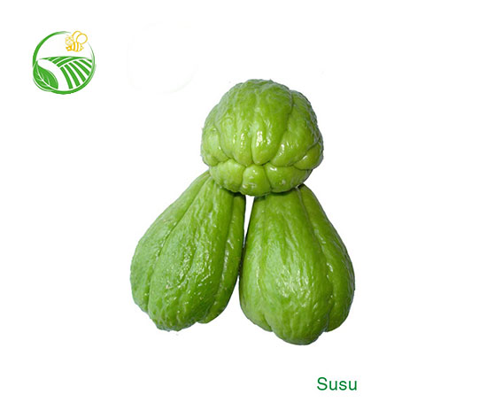 Su Su