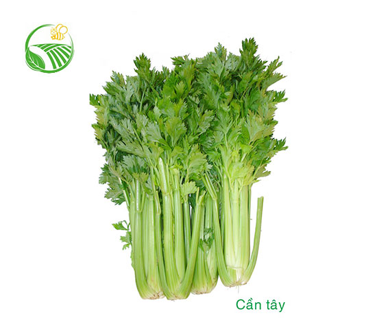 Cần Tây
