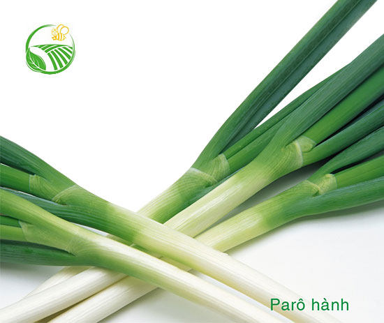 Paro Hành