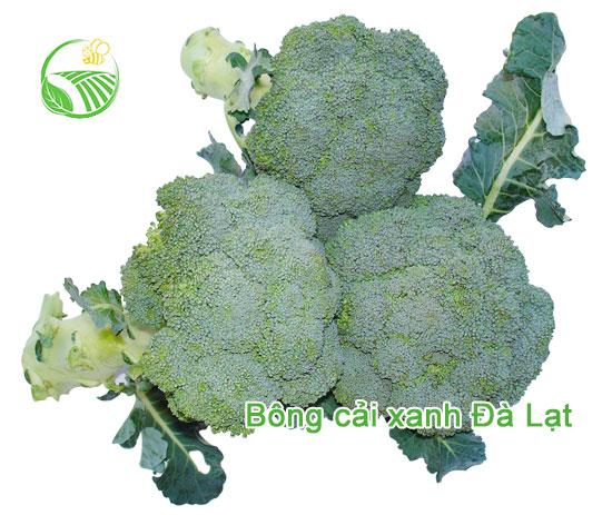 Bông Cải Xanh