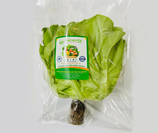 Xà Lách Mỡ Thủy Canh
