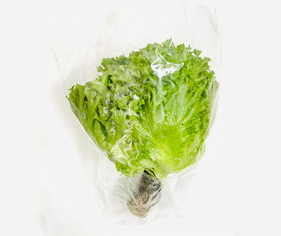 Xà Lách Thủy Tinh Thủy Canh