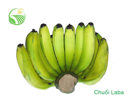 Chuối Laba