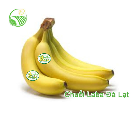 Chuối Laba